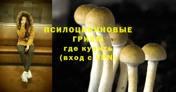 эйфоретик Краснослободск