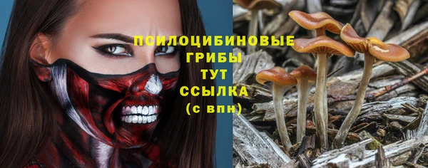 эйфоретик Краснослободск