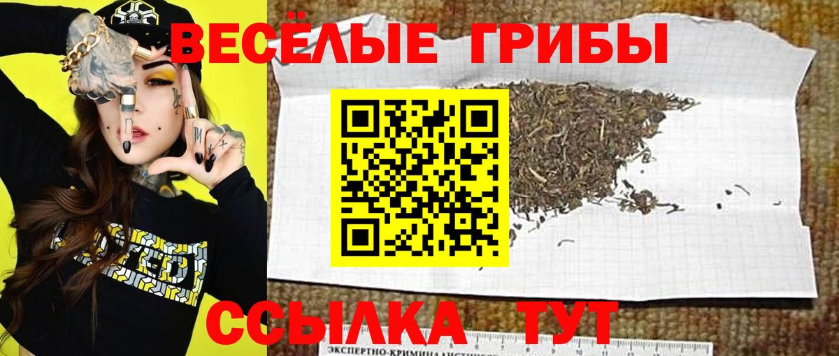 Галлюциногенные грибы Cubensis  Вход с VPN  Салават 