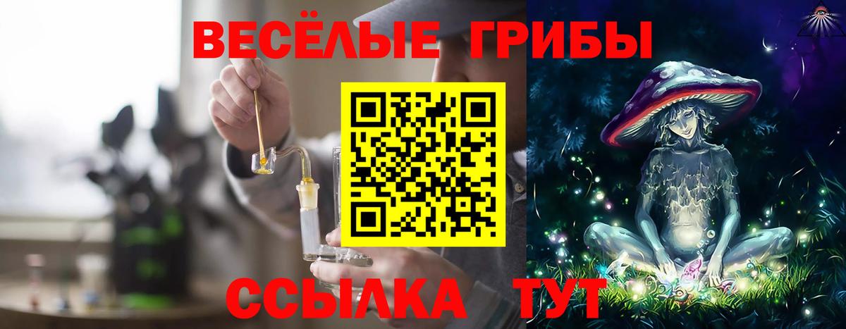 Псилоцибиновые грибы Psilocybe Салават